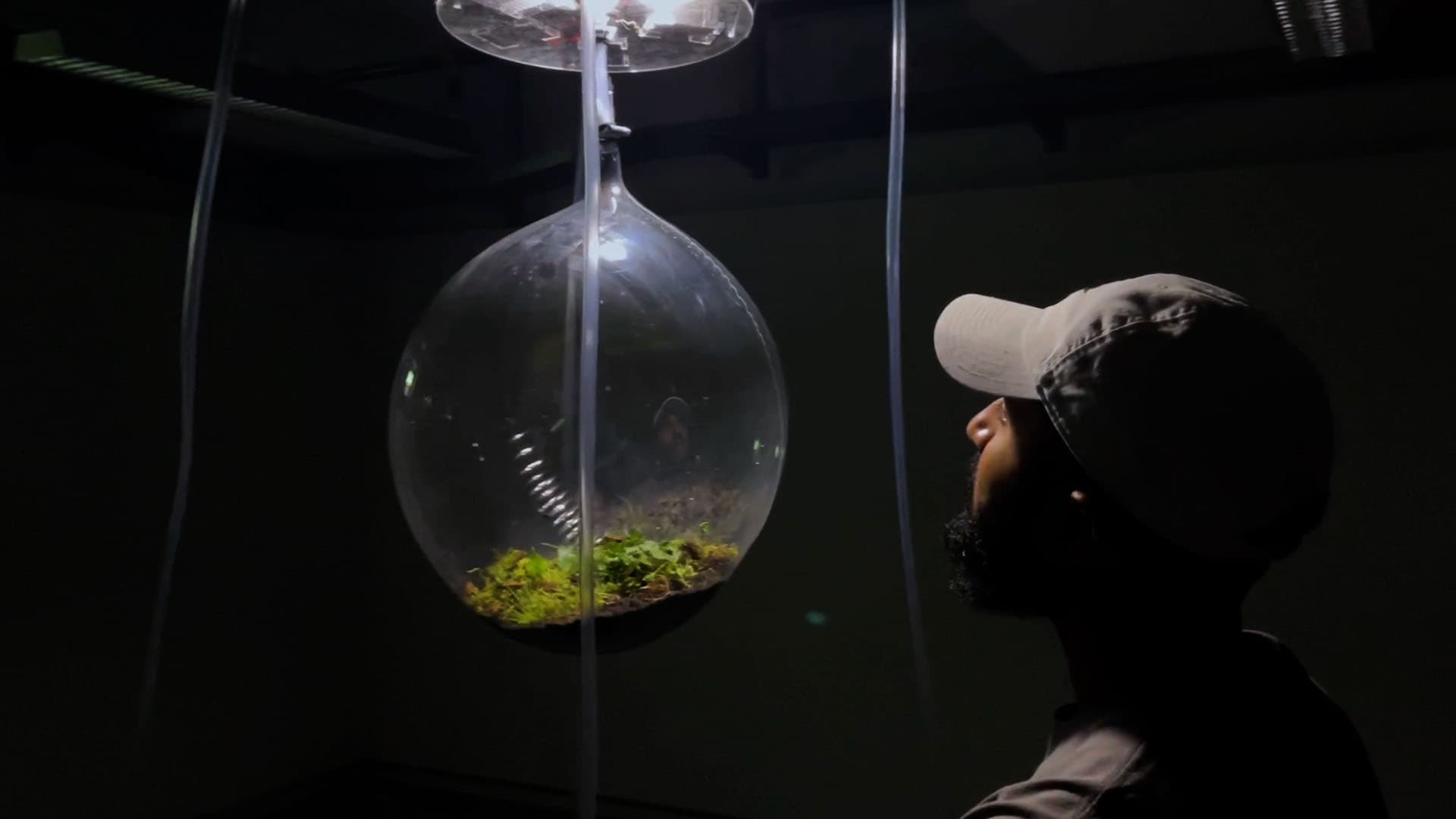 person looking into the bubble
